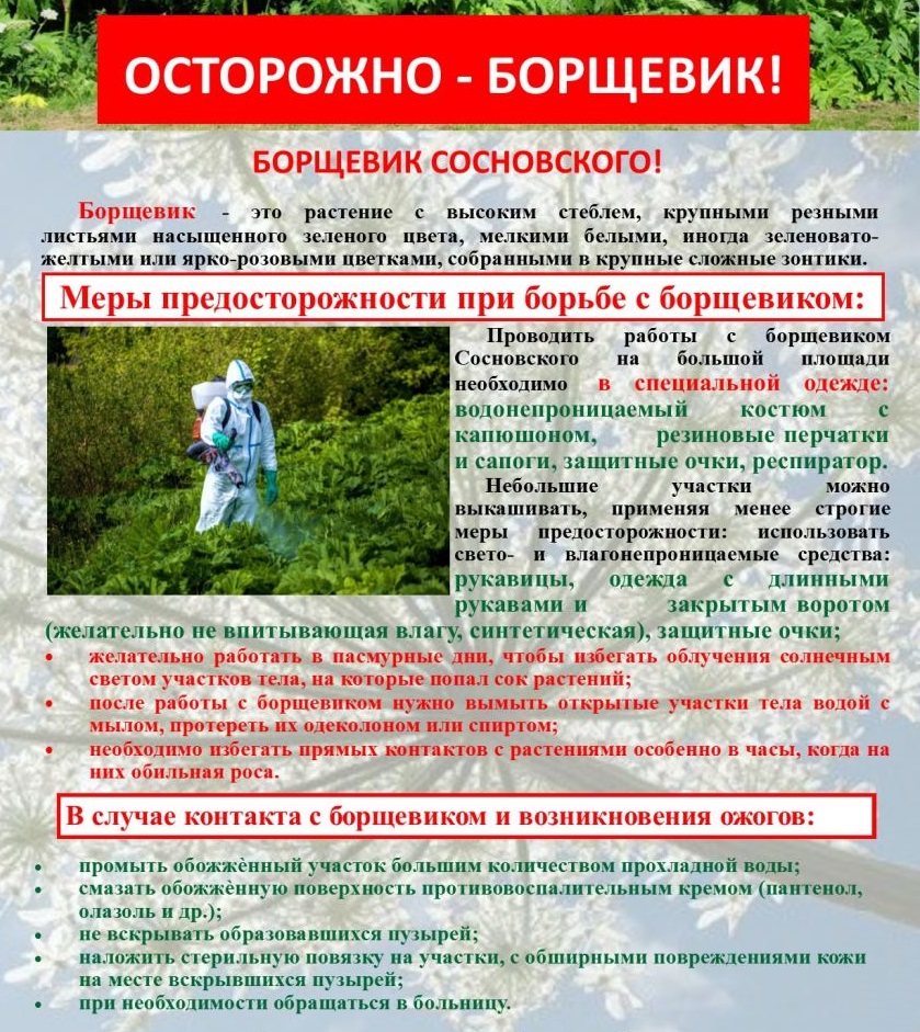 Интернет Магазин Средство От Борщевика Наложенным Платежом